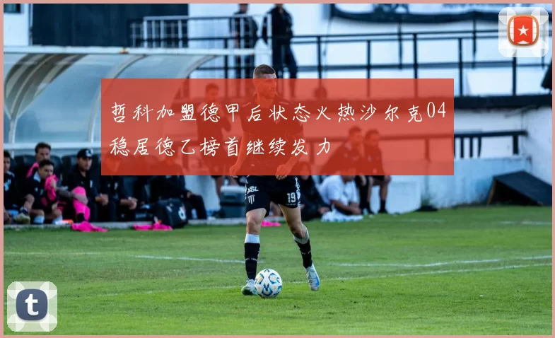 哲科加盟德甲后状态火热沙尔克04稳居德乙榜首继续发力