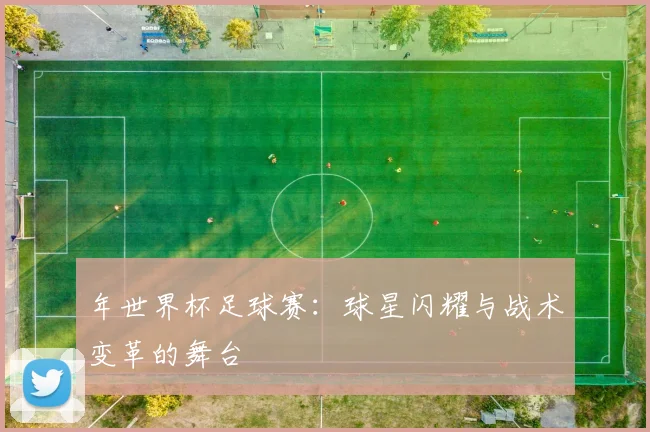 年世界杯足球赛:球星闪耀与战术变革的舞台