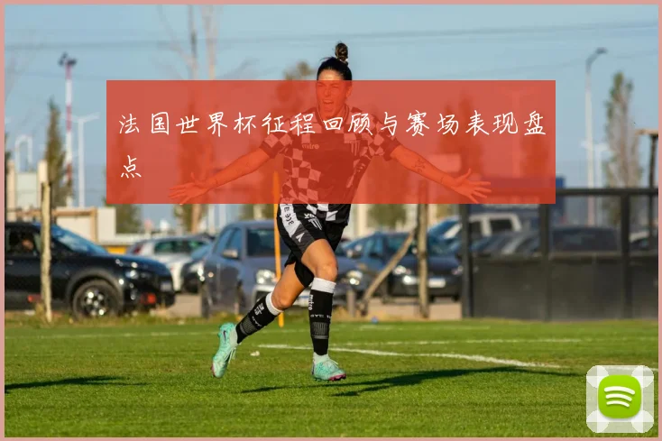 法国世界杯征程回顾与赛场表现盘点