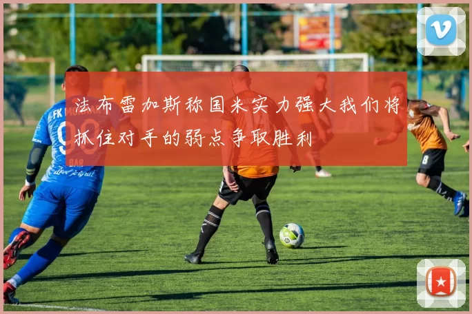 法布雷加斯称国米实力强大我们将抓住对手的弱点争取胜利