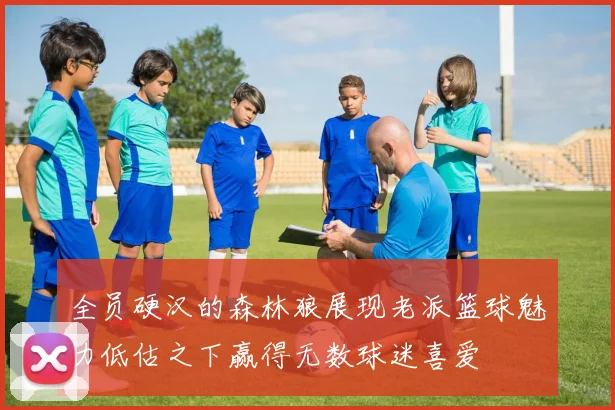 全员硬汉的森林狼展现老派篮球魅力低估之下赢得无数球迷喜爱