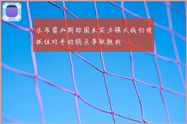 法布雷加斯称国米实力强大我们将抓住对手的弱点争取胜利
