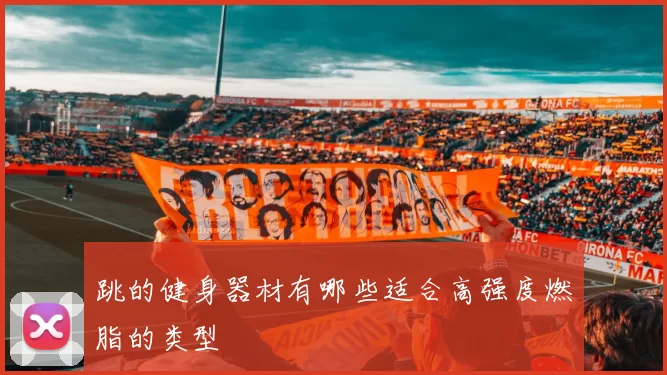 跳的健身器材有哪些适合高强度燃脂的类型