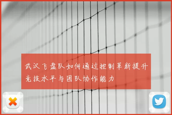 武汉飞盘队如何通过控制革新提升竞技水平与团队协作能力