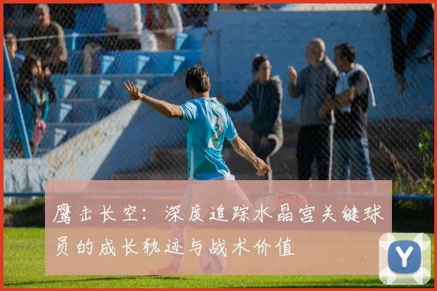 鹰击长空：深度追踪水晶宫关键球员的成长轨迹与战术价值