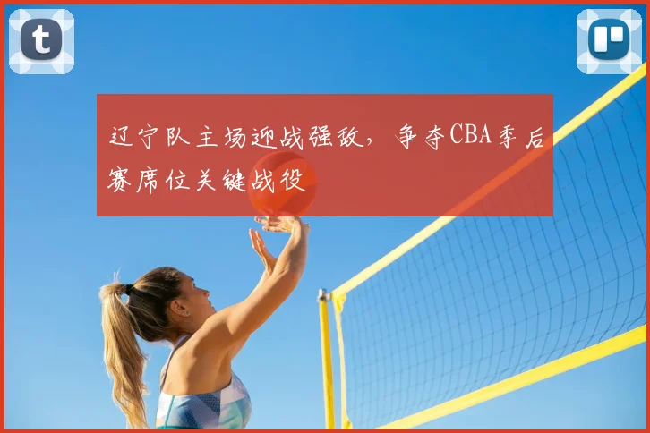 辽宁队主场迎战强敌,争夺CBA季后赛席位关键战役