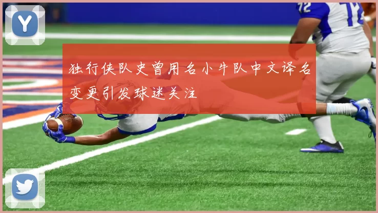 独行侠队史曾用名小牛队中文译名变更引发球迷关注