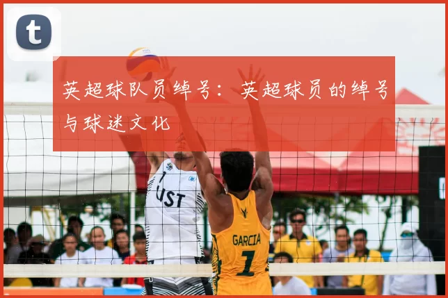 英超球队员绰号：英超球员的绰号与球迷文化
