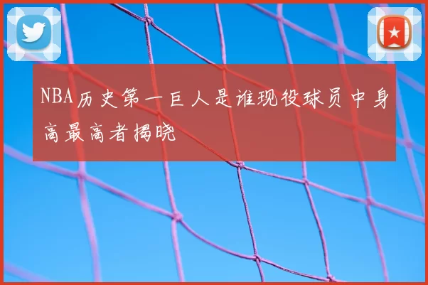 NBA历史第一巨人是谁现役球员中身高最高者揭晓