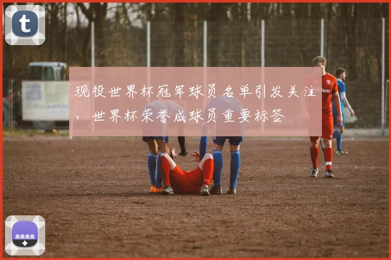 现役世界杯冠军球员名单引发关注,世界杯荣誉成球员重要标签