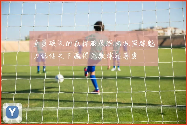 全员硬汉的森林狼展现老派篮球魅力低估之下赢得无数球迷喜爱