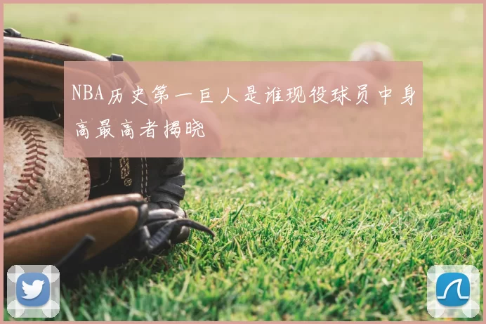 NBA历史第一巨人是谁现役球员中身高最高者揭晓