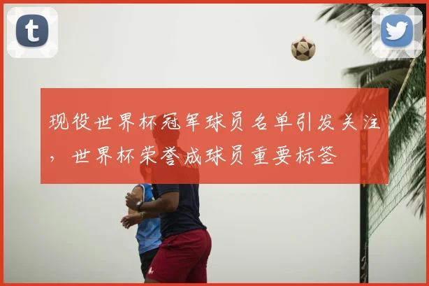 现役世界杯冠军球员名单引发关注,世界杯荣誉成球员重要标签