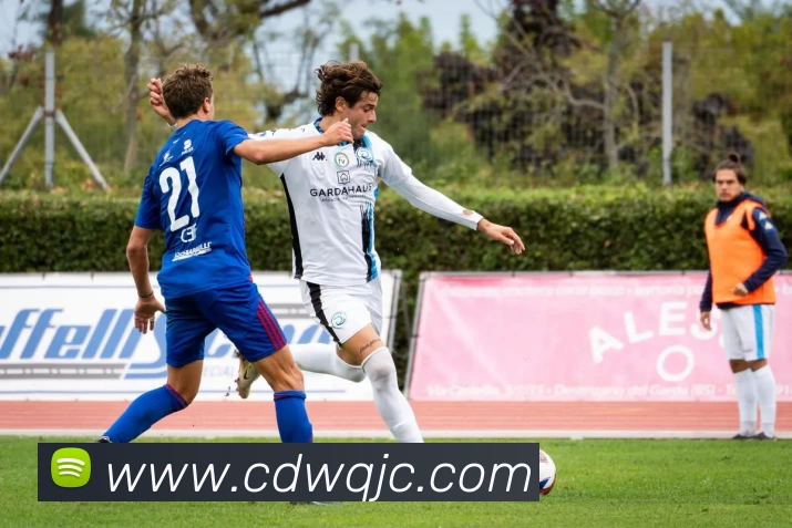 华体app官网平台生态图